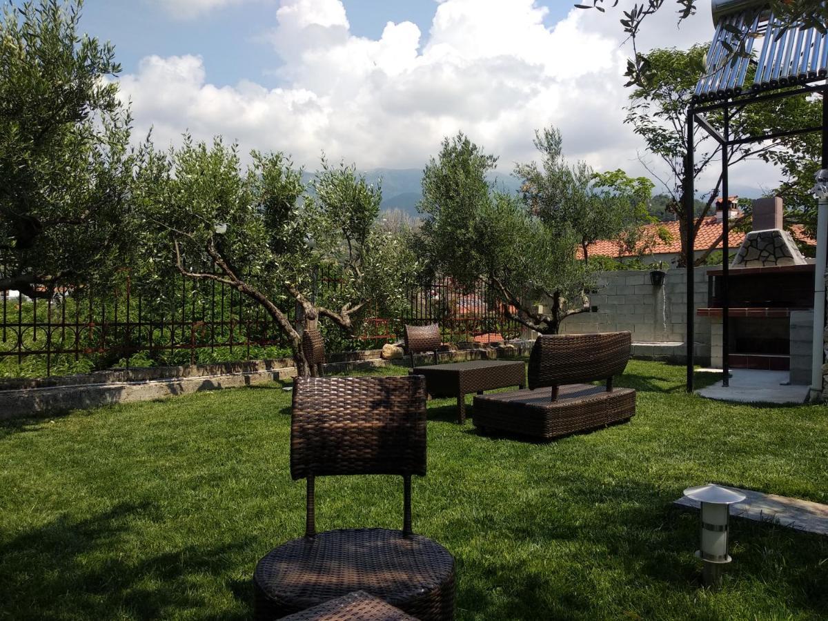 Villa Agnanti Apts And Suites Agio Pnevma 外观 照片