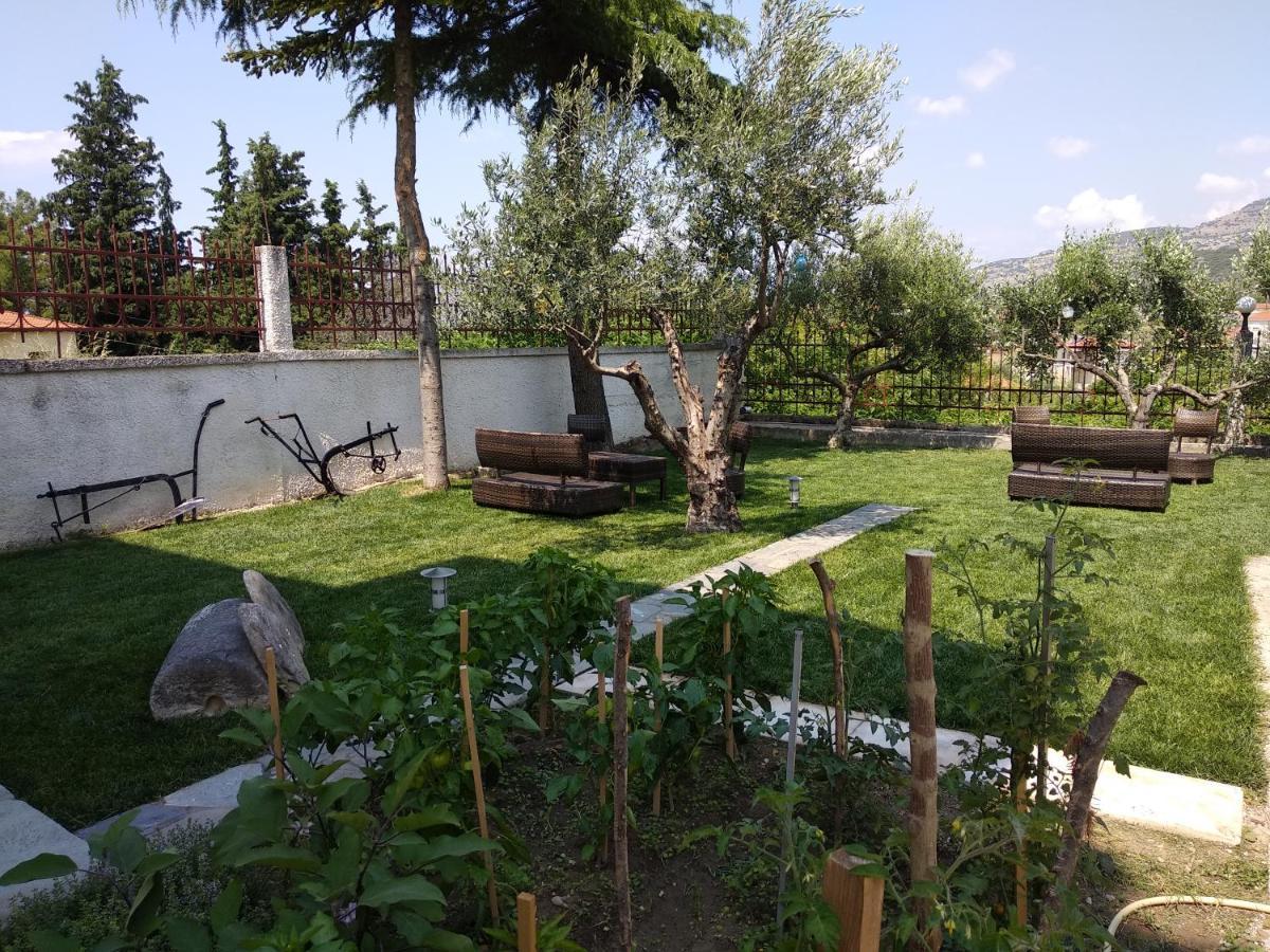 Villa Agnanti Apts And Suites Agio Pnevma 外观 照片