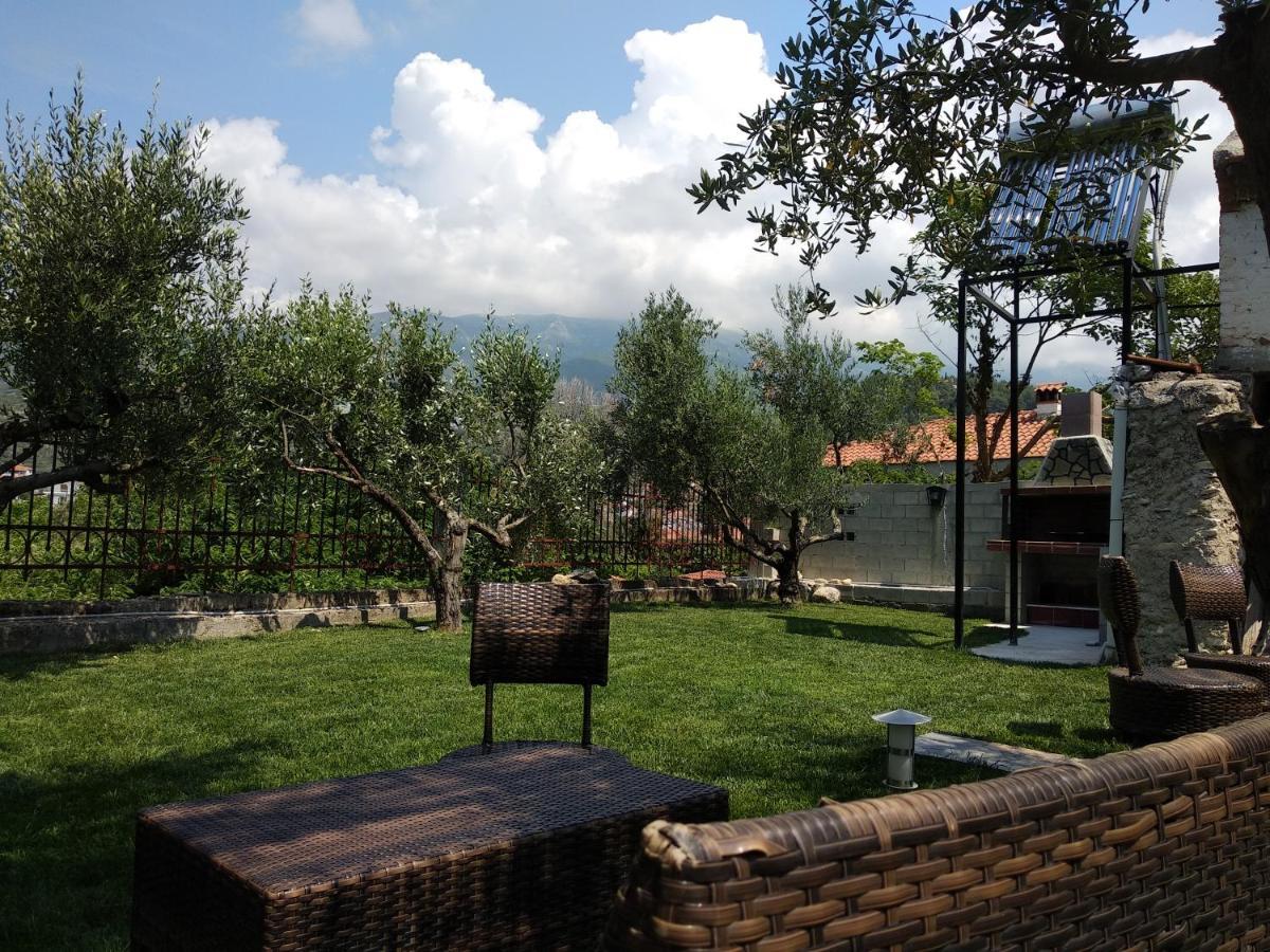 Villa Agnanti Apts And Suites Agio Pnevma 外观 照片