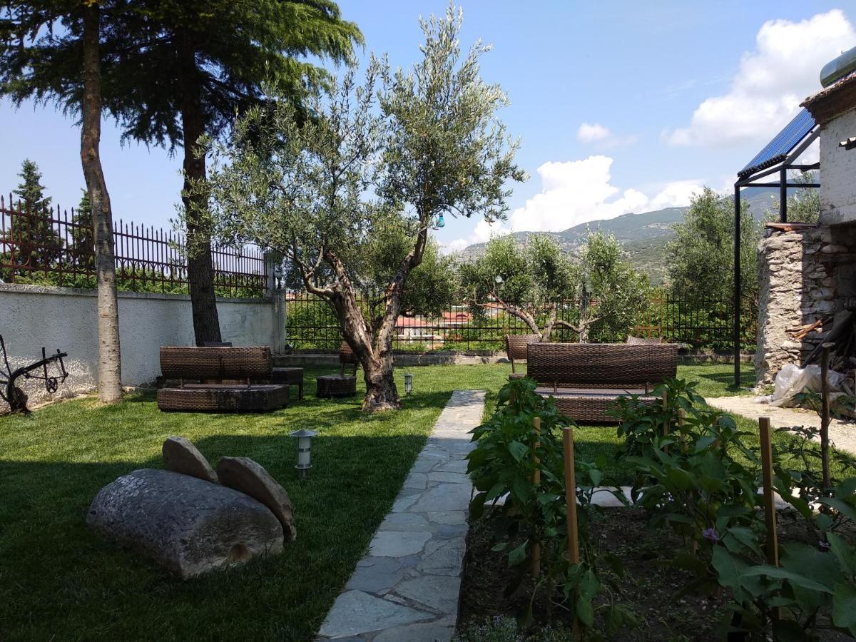 Villa Agnanti Apts And Suites Agio Pnevma 外观 照片